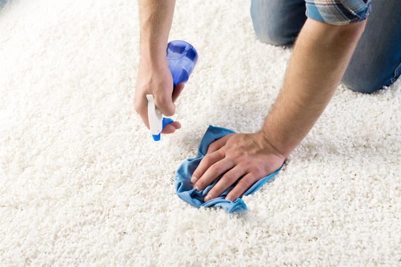 San Tan Valley Carpet Cleaning