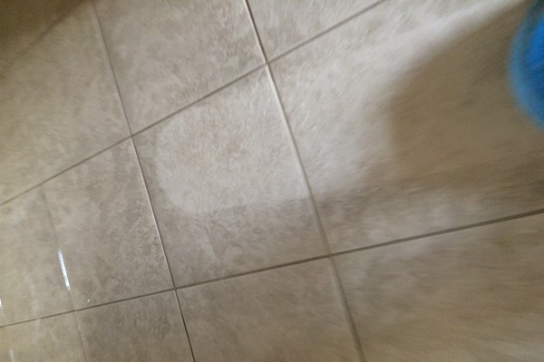 Carpet and Tile Cleaner in San Tan Valley | Brian's Cleaning