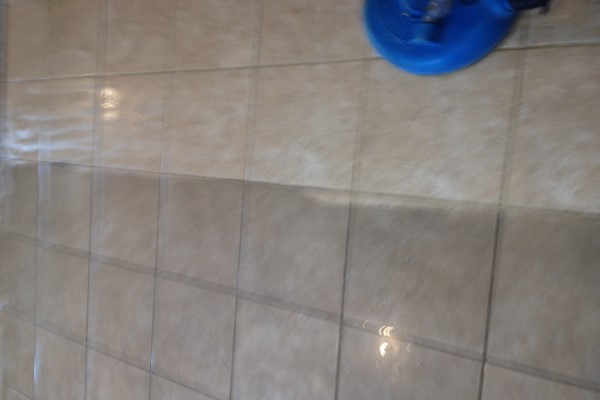 Carpet and Tile Cleaner in San Tan Valley | Brian's Cleaning