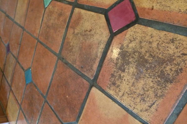 Carpet and Tile Cleaner in San Tan Valley | Brian's Cleaning